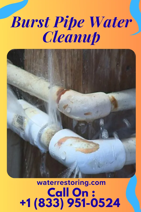 Burst Pipe Water Cleanup in South Vienna, OH