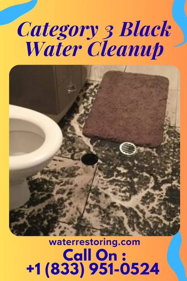Category 3 Black Water Cleanup in South Vienna, OH