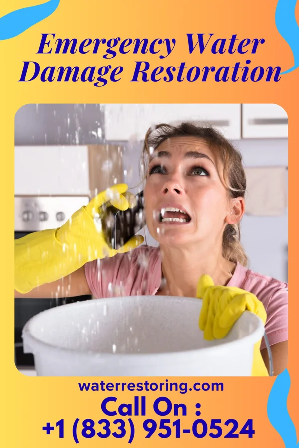Emergency Water Damage Restoration in South Vienna, OH