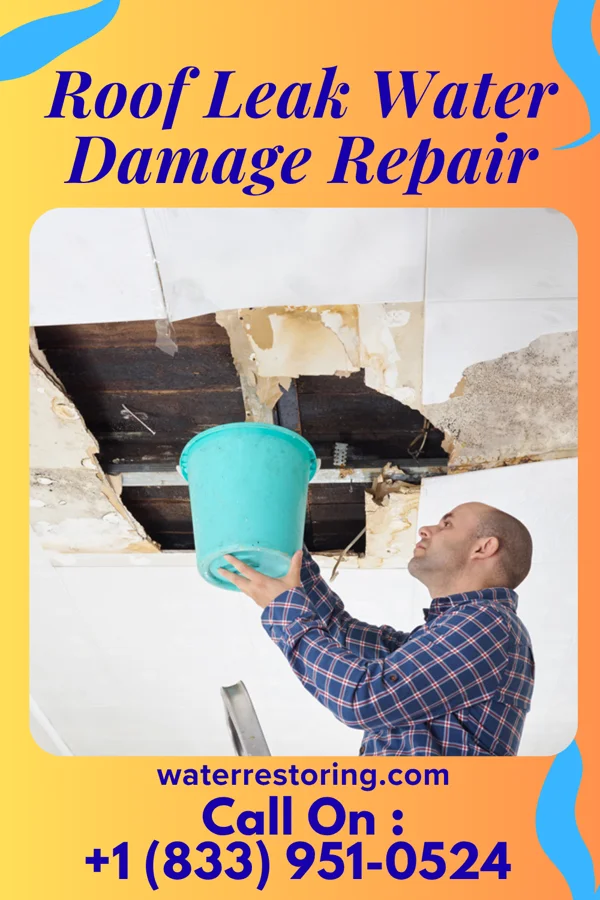 Roof Leak Water Damage Repair in South Vienna, OH